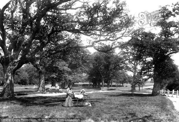 Photo of Frimley, The Grove 1906