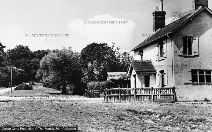 Photo of Fritham, View From Bentleys c.1955