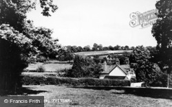 View From Buddles c.1955, Fritham