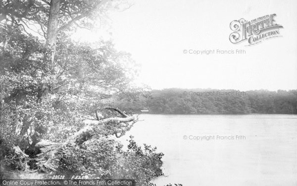 Photo of Fritton, Fritton Decoy 1891