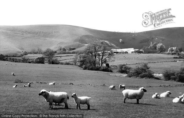 Photo of Fulking, South Down Sheep c.1955