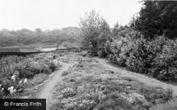 Richmond Park c.1955, Gainsborough