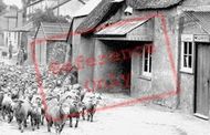 Post Office 1927, Galmpton