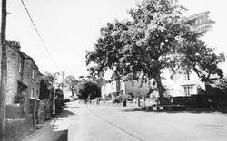 The Village c.1960, Galmpton