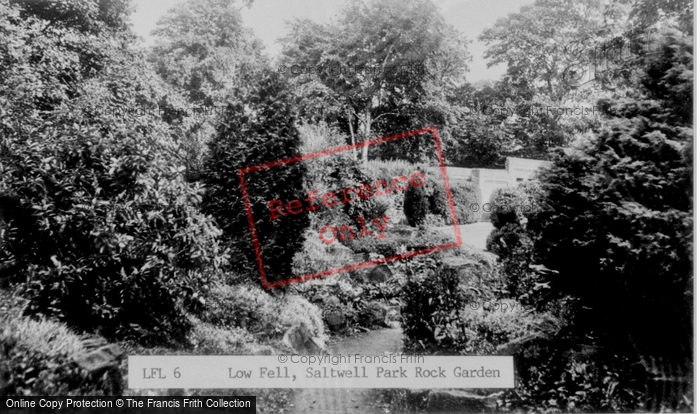 Photo of Gateshead, Low Fell, Saltwell Park Rock Garden c.1955