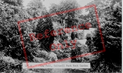 Low Fell, Saltwell Park Rock Garden c.1955, Gateshead