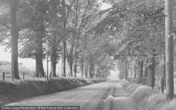 Photo of Gawsworth, The Avenue c.1955
