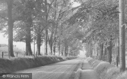 The Avenue c.1955, Gawsworth
