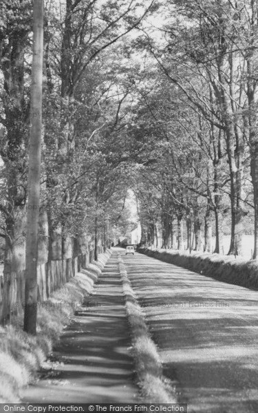 Photo of Gawsworth, The Avenue c.1960