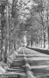 The Avenue c.1960, Gawsworth