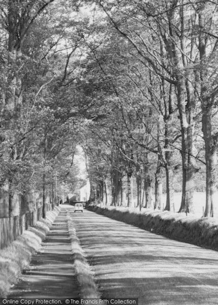Photo of Gawsworth, The Avenue c.1960