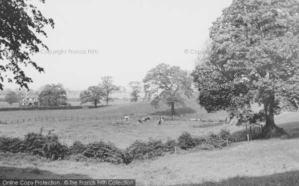Photo of Gawsworth, View From The Avenue c.1955