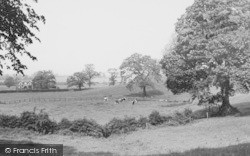 View From The Avenue c.1955, Gawsworth