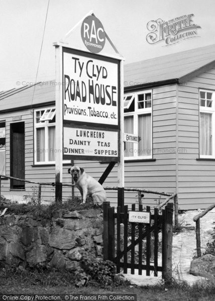 Photo of Gellilydan, Dog At Ty Clyd Road House 1936