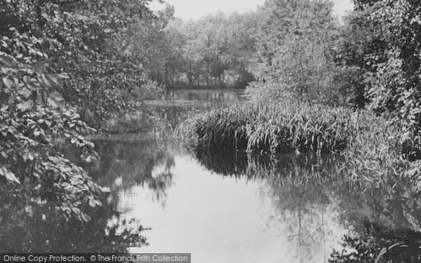 Photo of Gidea Park, The Fish Ponds c.1950 - Francis Frith