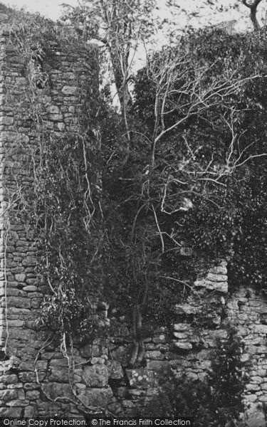 Photo of Gidleigh, Gidleigh Tower c.1869