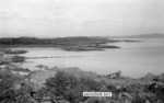 Previous photo