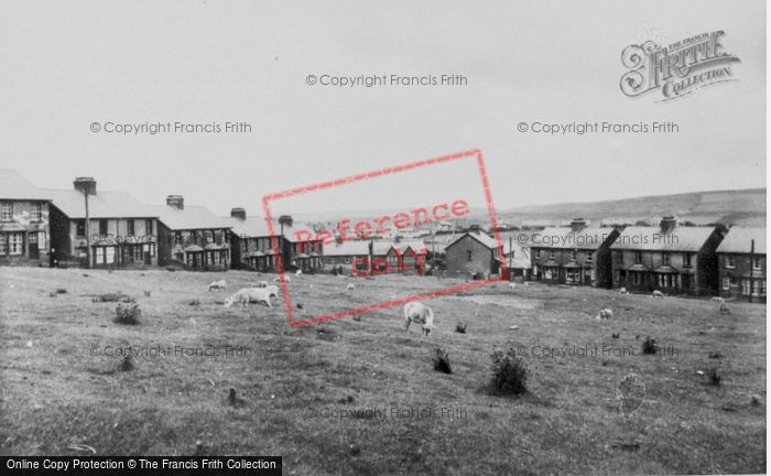 Photo of Gilfach Goch, Mountain Sheep c.1955
