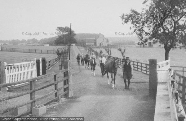 Photo of Gisburn, Racehorses At Ribblesdale Stud c.1960