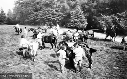 Glasbury On Wye, Pony Trekking c.1955, Glasbury