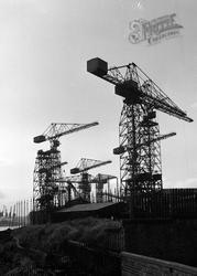 Cranes 1961, Glasgow