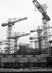 Cranes 1961, Glasgow