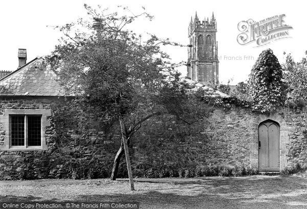 Photo of Glastonbury, The Abbey, The Holy Thorn 1912