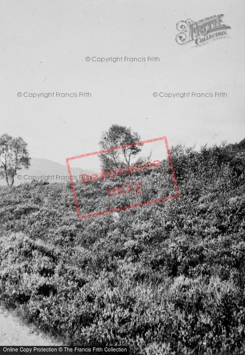 Photo of Glen Affric, c.1935