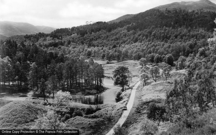 Photo of Glen Affric, In The Forest c.1925