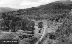 In The Forest c.1925, Glen Affric