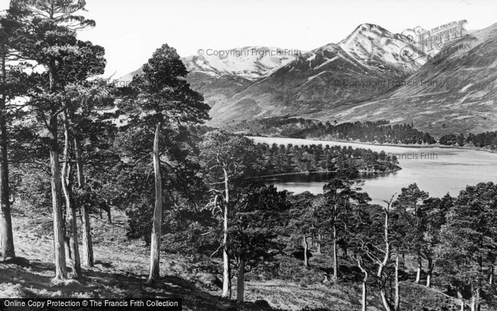 Photo of Glen Affric, Pine Woods c.1935