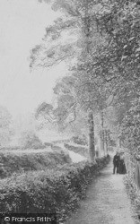 Lovers' Walk, Matson Lane 1900, Gloucester