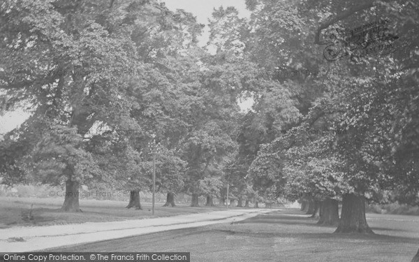 Photo of Gloucester, Whaddon Green 1900