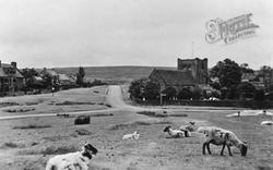 Sheep On The Village Green c.1922, Goathland