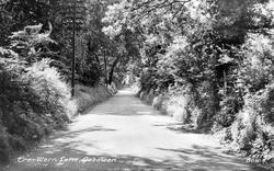 Tre-Wern Lane c.1955, Gobowen