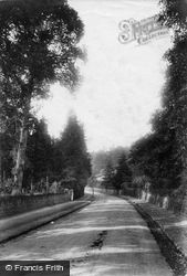 Charterhouse Road 1906, Godalming
