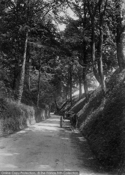 Photo of Godalming, Hambledon Lane 1906