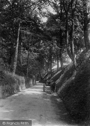 Hambledon Lane 1906, Godalming