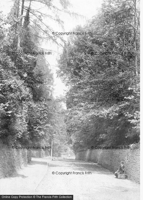 Photo of Godalming, Holloway Hill 1907