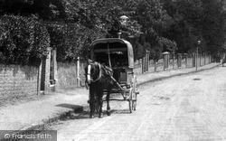 Horse And Cart 1907, Godalming