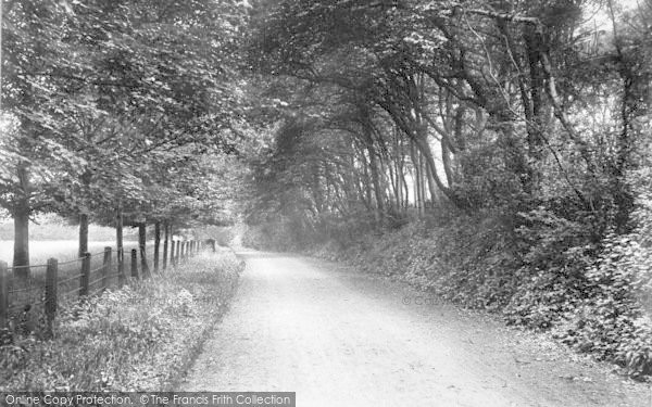 Photo of Godmersham, Lambley Road 1909