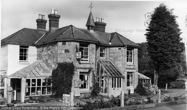 Photo of Godshill, The Hollies Tea Gardens c.1955