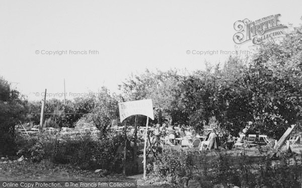 Photo of Godshill, The Hollies Tea Gardens c.1960