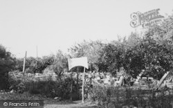 The Hollies Tea Gardens c.1960, Godshill