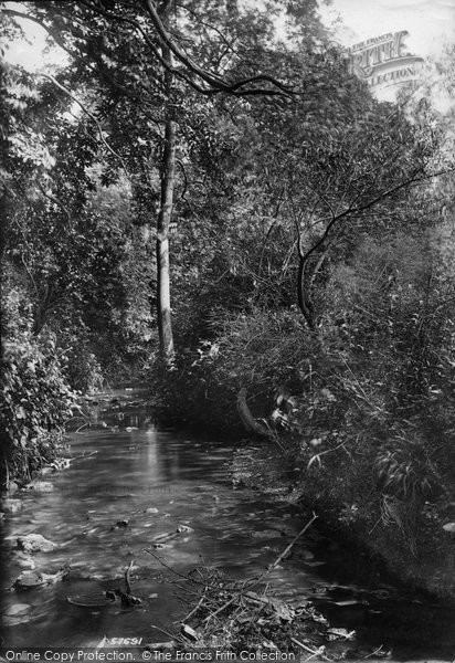 Photo of Godstone, Diana Fountain Woods 1907