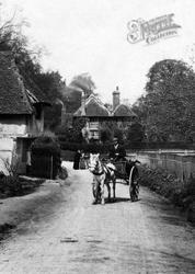 Horse And Cart 1905, Godstone