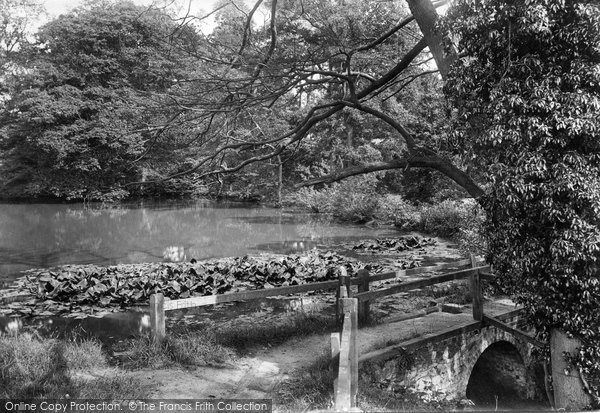 Photo of Godstone, Rectory Pond 1907
