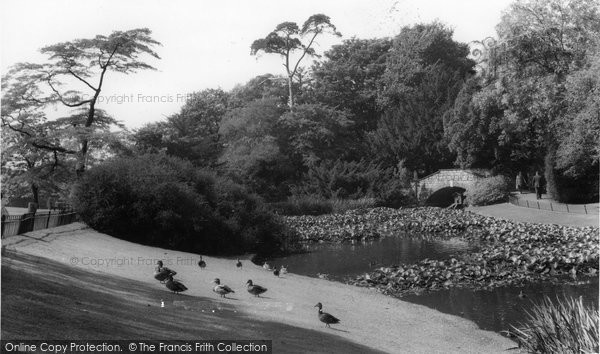 Photo of Golders Green, The Pond, Golders Hill Park c.1960