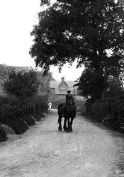 Boy On Horse 1913, Gomshall