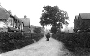 Goose Green 1913, Gomshall
